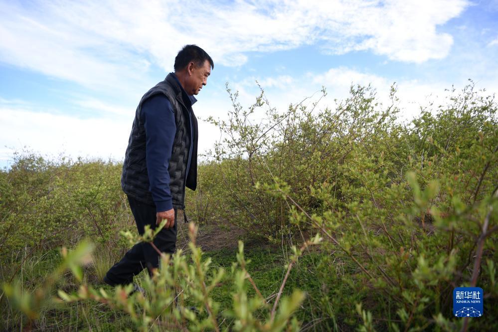 澳门官方娱乐游戏平台